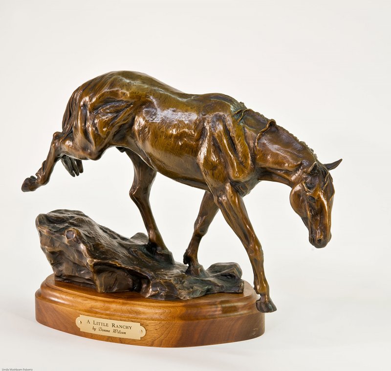 Canadian Artist Donna Wilson - Bronze art - Horses